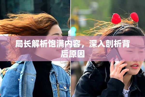 局长解析饱满内容，深入剖析背后原因