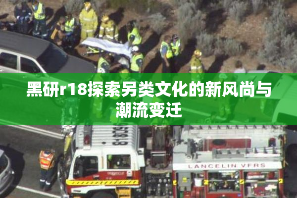 黑研r18探索另类文化的新风尚与潮流变迁