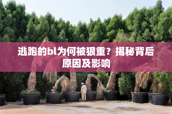 逃跑的bl为何被狠重？揭秘背后原因及影响