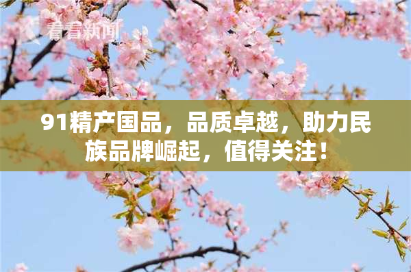 91精产国品，品质卓越，助力民族品牌崛起，值得关注！