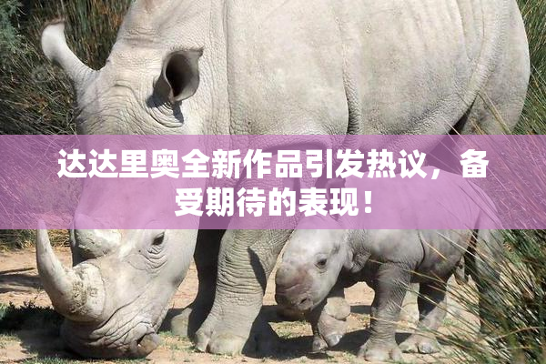 达达里奥全新作品引发热议，备受期待的表现！