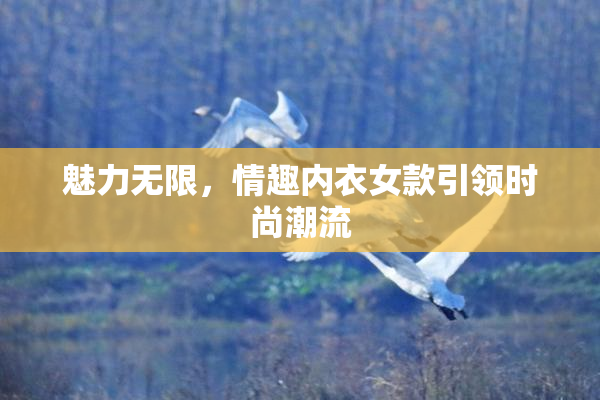 魅力无限，情趣内衣女款引领时尚潮流