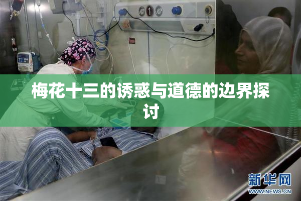 梅花十三的诱惑与道德的边界探讨