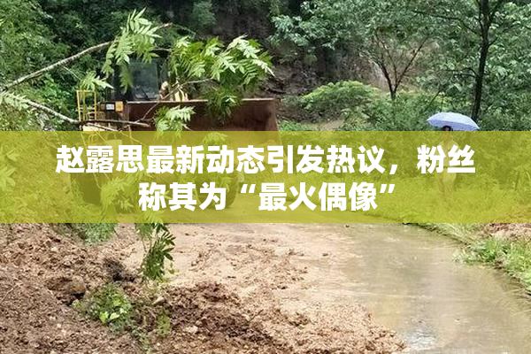 赵露思最新动态引发热议，粉丝称其为“最火偶像”