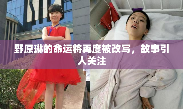 野原琳的命运将再度被改写，故事引人关注