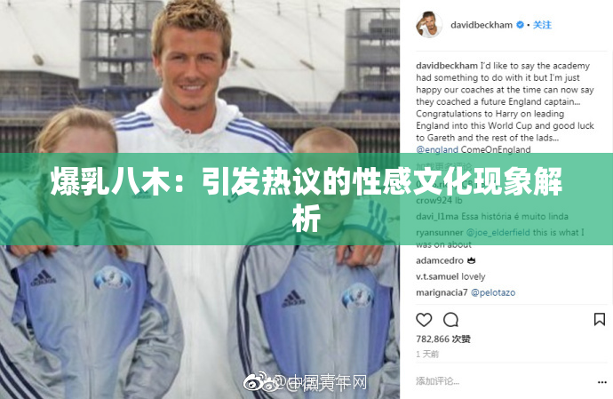 爆乳八木：引发热议的性感文化现象解析