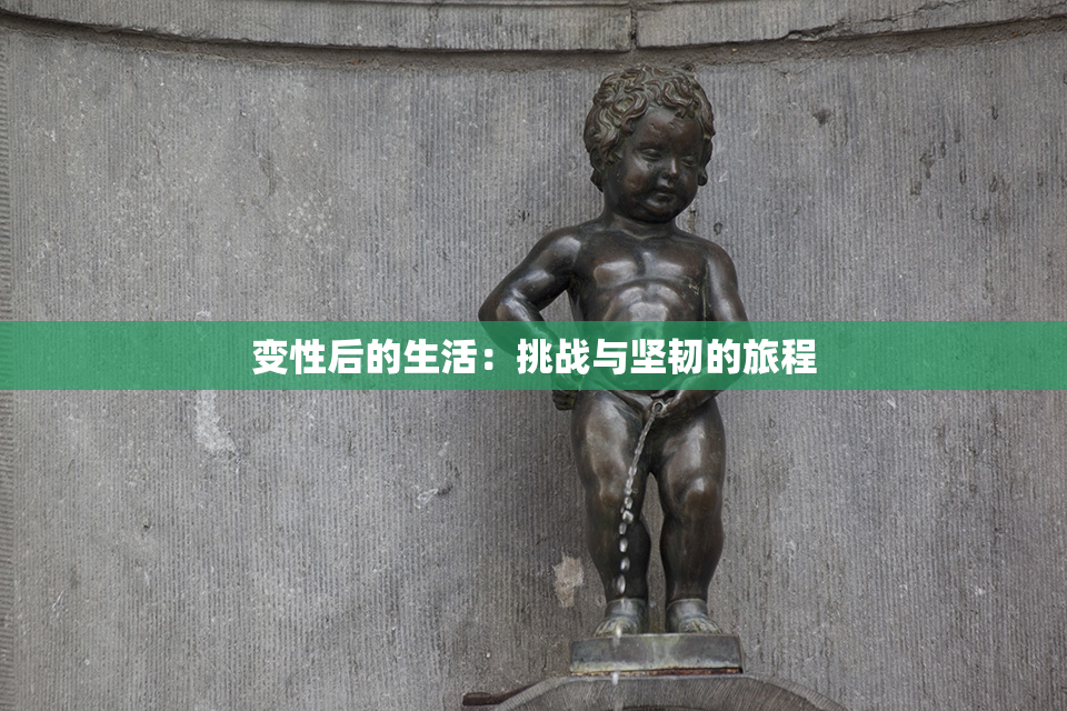 变性后的生活：挑战与坚韧的旅程