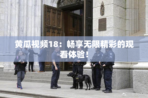 黄瓜视频18：畅享无限精彩的观看体验！