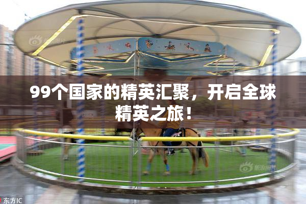 99个国家的精英汇聚，开启全球精英之旅！
