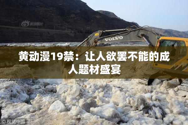 黄动漫19禁：让人欲罢不能的成人题材盛宴
