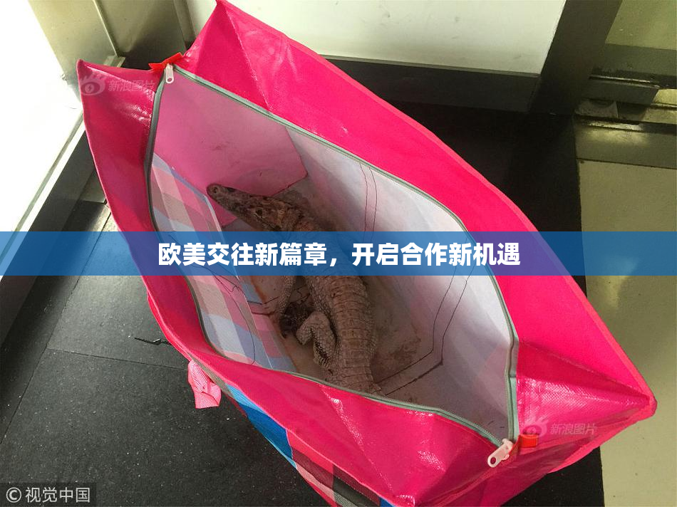 欧美交往新篇章，开启合作新机遇