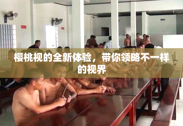 樱桃视的全新体验，带你领略不一样的视界