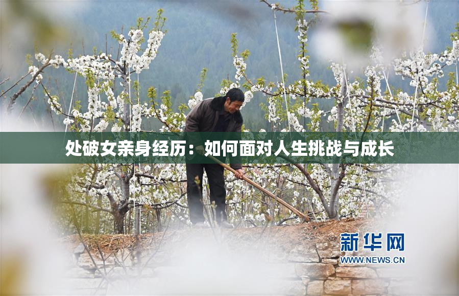 处破女亲身经历：如何面对人生挑战与成长