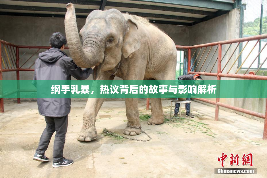 纲手乳暴，热议背后的故事与影响解析