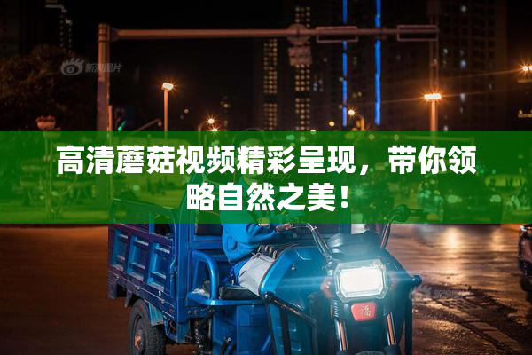 高清蘑菇视频精彩呈现，带你领略自然之美！