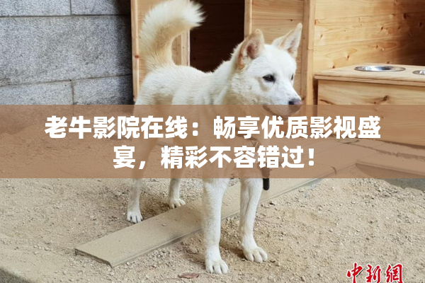 老牛影院在线：畅享优质影视盛宴，精彩不容错过！