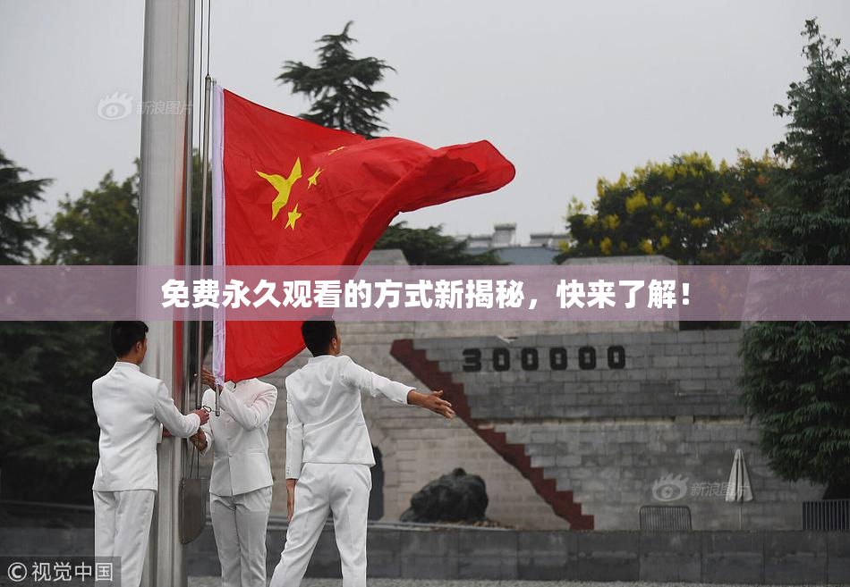 免费永久观看的方式新揭秘，快来了解！