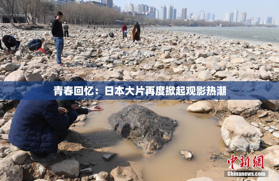 青春回忆：日本大片再度掀起观影热潮