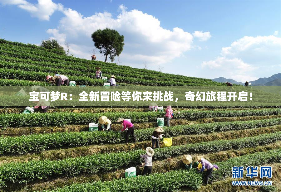 宝可梦R：全新冒险等你来挑战，奇幻旅程开启！