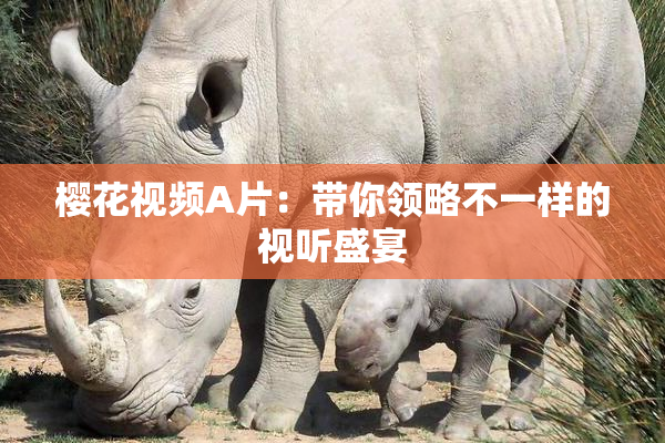 樱花视频A片：带你领略不一样的视听盛宴