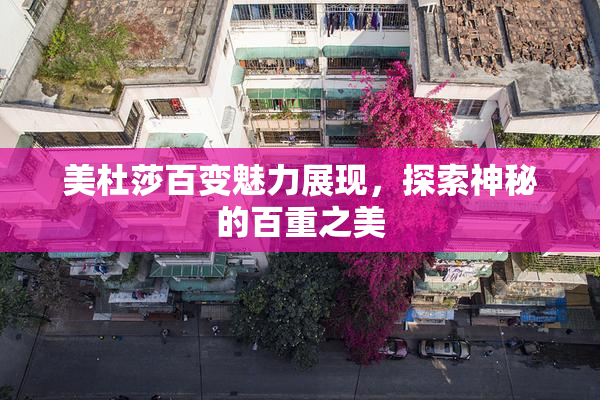 美杜莎百变魅力展现，探索神秘的百重之美