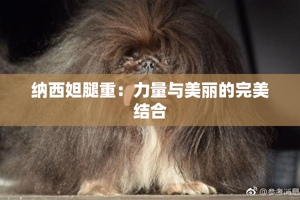 纳西妲腿重：力量与美丽的完美结合