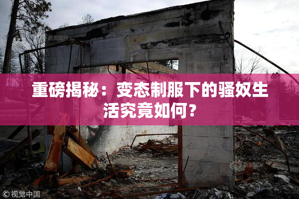 重磅揭秘：变态制服下的骚奴生活究竟如何？