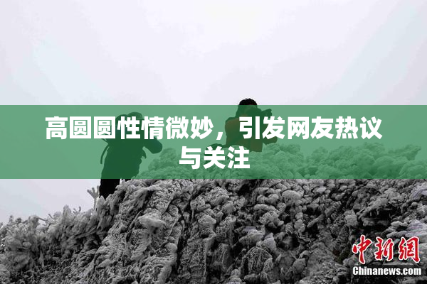 高圆圆性情微妙，引发网友热议与关注
