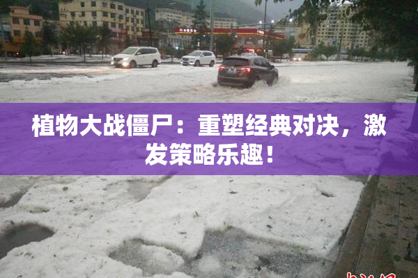 植物大战僵尸：重塑经典对决，激发策略乐趣！