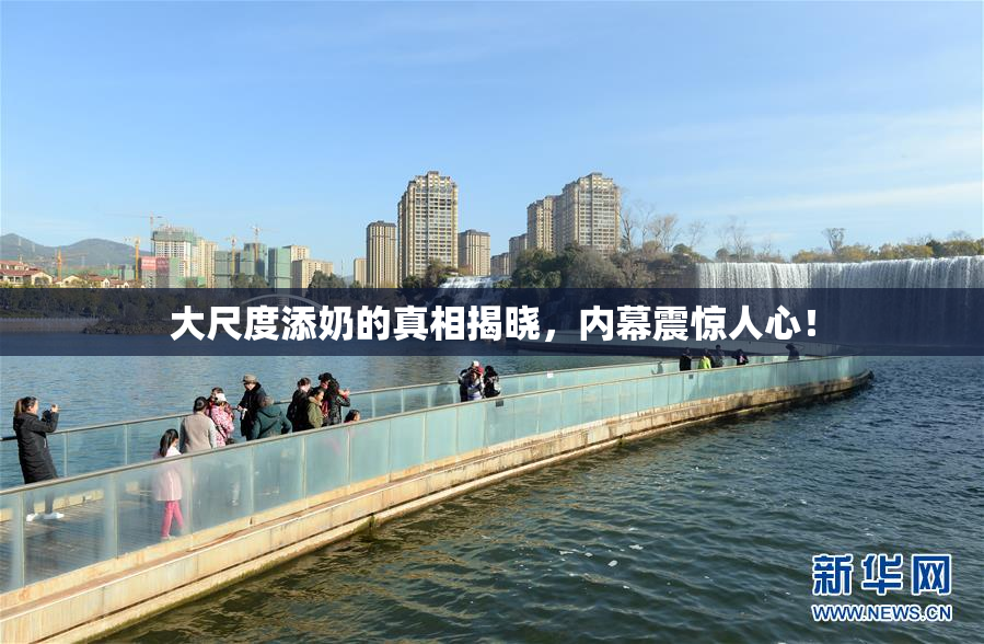大尺度添奶的真相揭晓，内幕震惊人心！