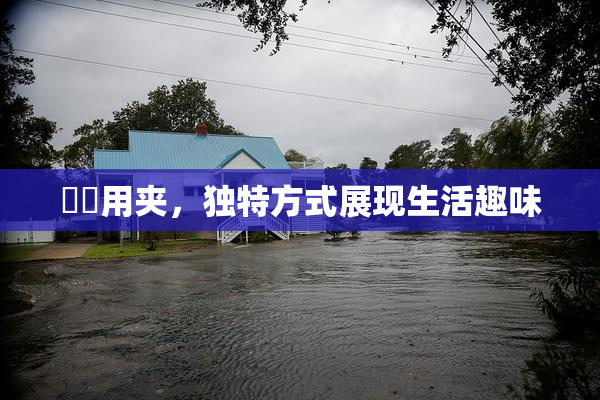 妺妺用夹，独特方式展现生活趣味