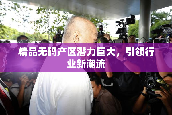 精品无码产区潜力巨大，引领行业新潮流