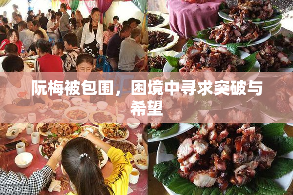 阮梅被包围，困境中寻求突破与希望