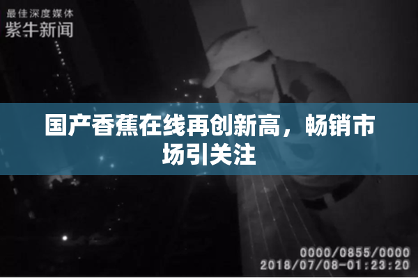 国产香蕉在线再创新高，畅销市场引关注