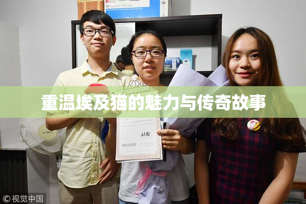 重温埃及猫的魅力与传奇故事