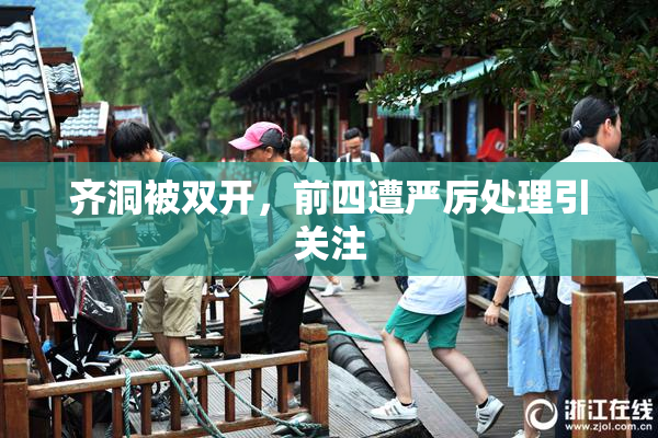 齐洞被双开，前四遭严厉处理引关注