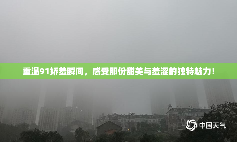 重温91娇羞瞬间，感受那份甜美与羞涩的独特魅力！