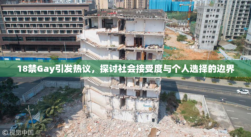 18禁Gay引发热议，探讨社会接受度与个人选择的边界