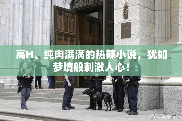 高H、纯肉满满的热辣小说，犹如梦境般刺激人心！
