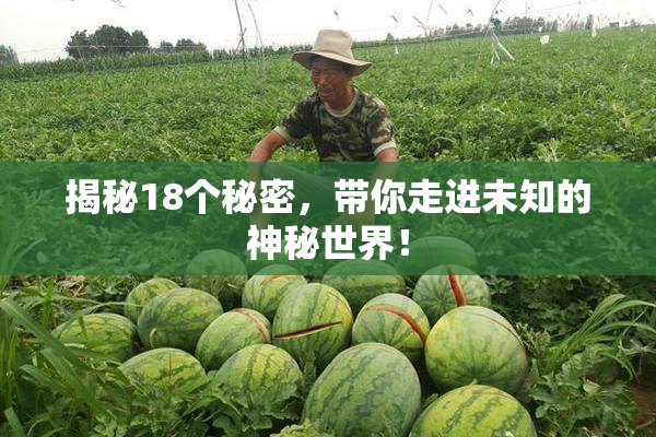 揭秘18个秘密，带你走进未知的神秘世界！