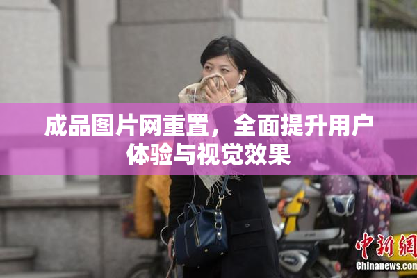 成品图片网重置，全面提升用户体验与视觉效果