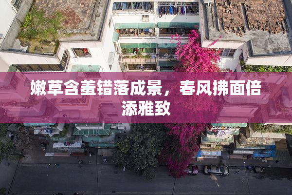 嫩草含羞错落成景，春风拂面倍添雅致