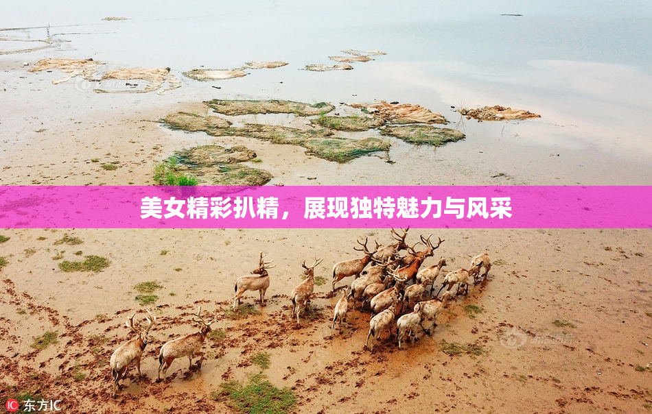 美女精彩扒精，展现独特魅力与风采