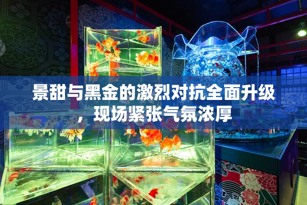 景甜与黑金的激烈对抗全面升级，现场紧张气氛浓厚