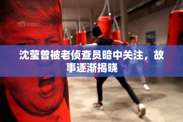 沈莹曾被老侦查员暗中关注，故事逐渐揭晓