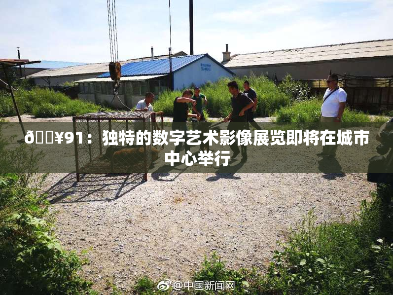 🔥91：独特的数字艺术影像展览即将在城市中心举行