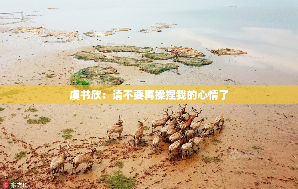 虞书欣：请不要再揉捏我的心情了