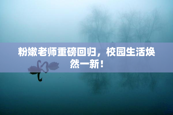 粉嫩老师重磅回归，校园生活焕然一新！