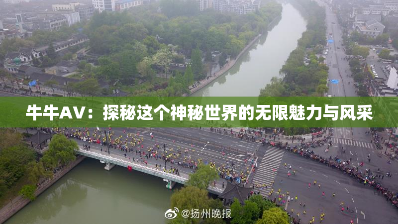 牛牛AV：探秘这个神秘世界的无限魅力与风采