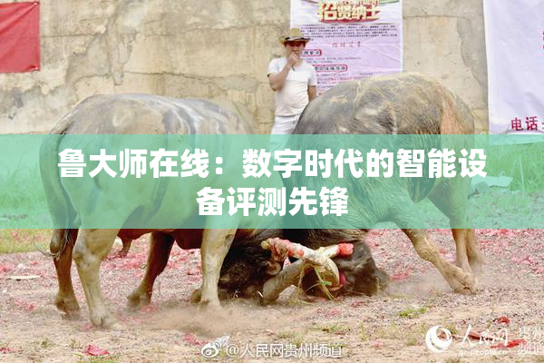 鲁大师在线：数字时代的智能设备评测先锋